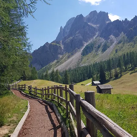 公寓 Comelico Dolomiti