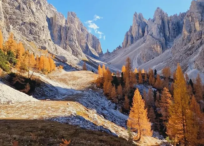Lejlighed Comelico Dolomiti Candide