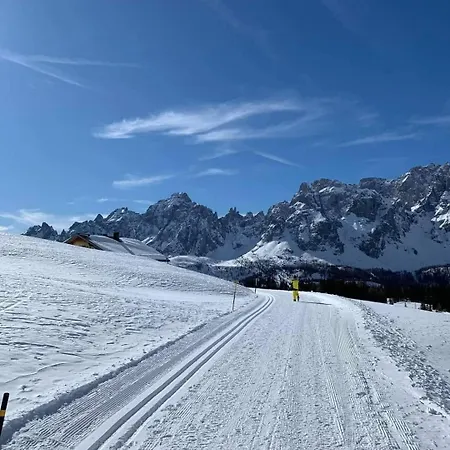Comelico Dolomiti Lejlighed *