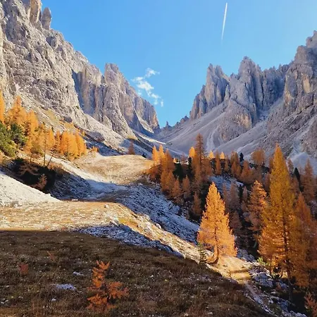 公寓 Comelico Dolomiti Candide